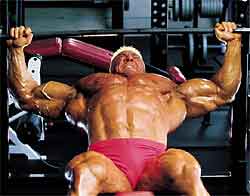 Pecs of Power Markus Ruhl's Pecs