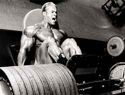 The Cutler Quad Workout The Cutler Quad Workout