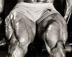The Cutler Quad Workout The Cutler Quad Workout
