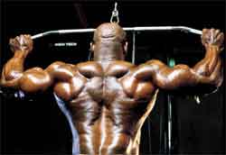 Ernie Taylors Favorite Back Workout Ernie Taylor's Favorite Back Workout