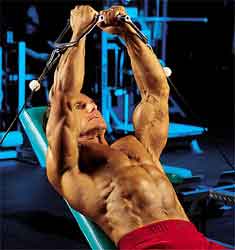 Powerful Pecs