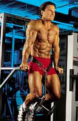 Powerful Pecs